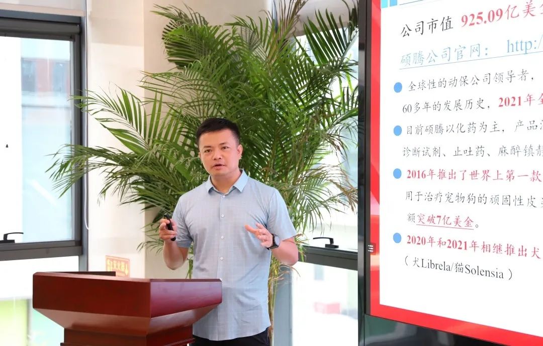 偉杰信營(yíng)銷中心年中團(tuán)建會(huì)—“凝心聚力奪輝煌、奮力前行獲佳績(jī)”