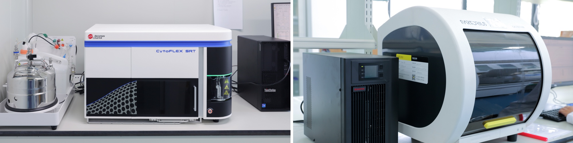 動(dòng)物蛋白抗體藥物開發(fā)平臺(tái)