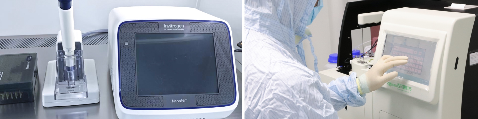 動(dòng)物蛋白抗體藥物開發(fā)平臺(tái)