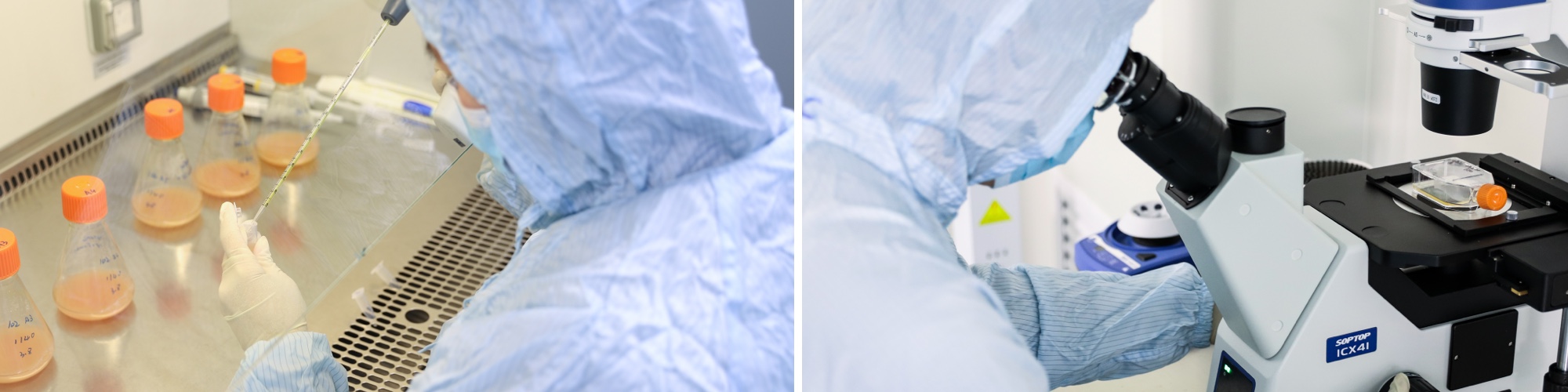 動物mRNA疫苗先鋒技術(shù)平臺